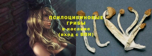 ешки Беломорск